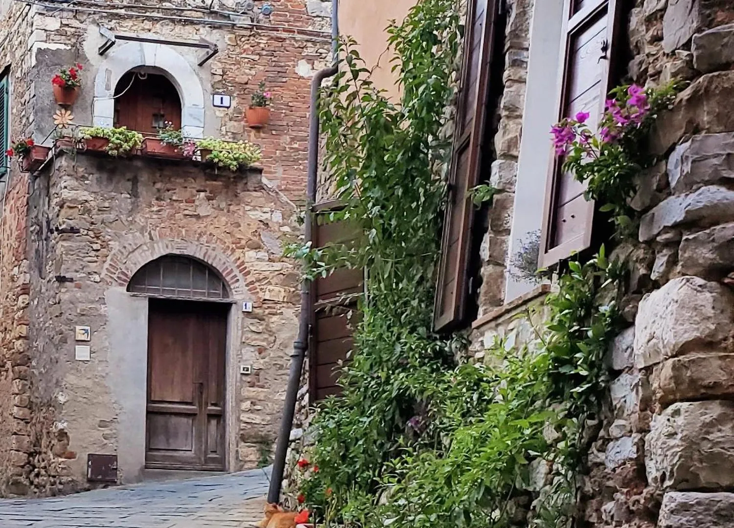 Casina Toscana, Cozy Studio In The Heart Of Campiglia Marittima With Free Wi-Fi Διαμέρισμα